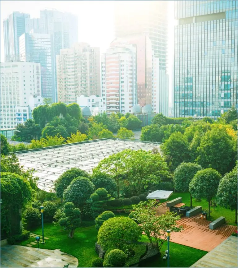 A serene city park with trees and benches, set against a backdrop of towering buildings.