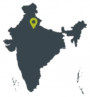 Untitled design (40)